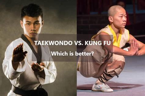 Is taekwondo better than gym?