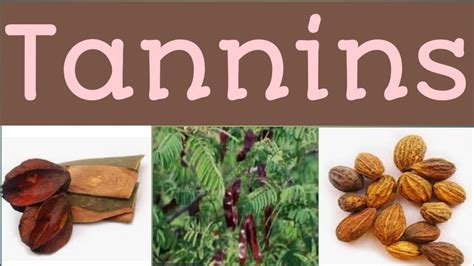 Is tannin an antidote?
