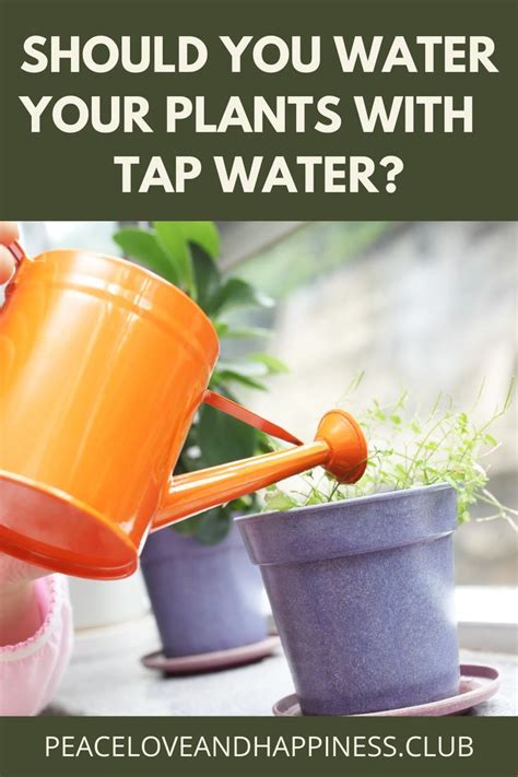 Is tap water bad for aquarium plants?