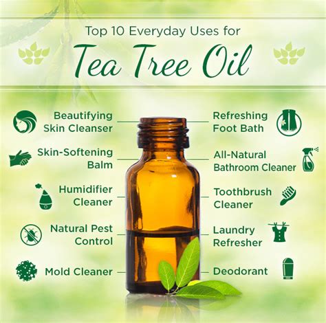 Is tea tree oil good for gauges?