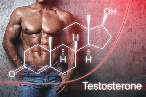 Is testosterone a beauty hormone?