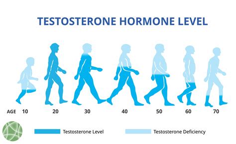 Is testosterone anti aging?