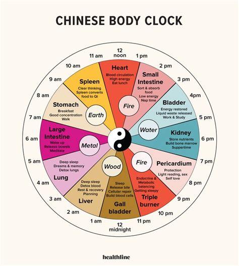 Is the Chinese body clock real?