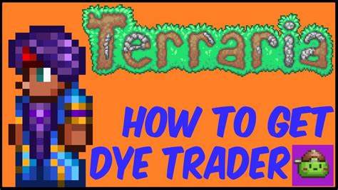 Is the Dye Trader a boy or girl Terraria?