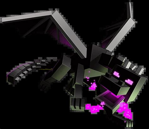 Is the Ender Dragon male or female?
