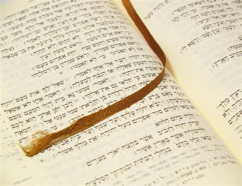 Is the Mosaic Law the Torah?