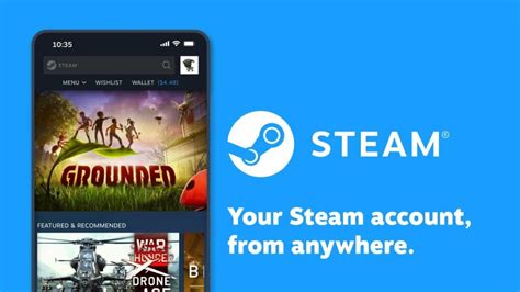 Is the Steam app appropriate?