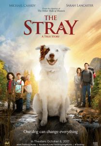 Is the Stray a true story?