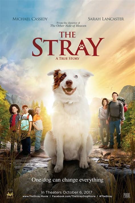 Is the Stray movie for kids?