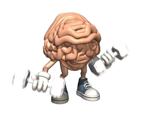 Is the brain a Muscle?