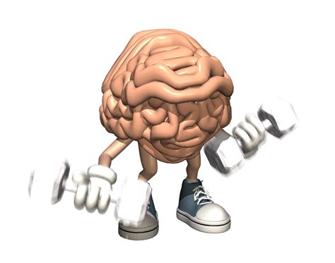Is the brain a muscle?
