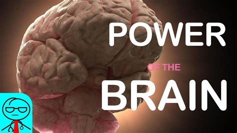 Is the brain the most powerful organ?