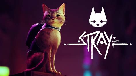Is the cat OK in Stray game?