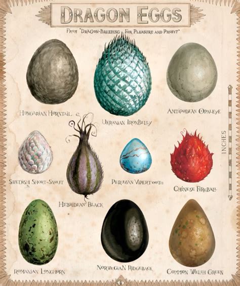 Is the dragon egg an entity?