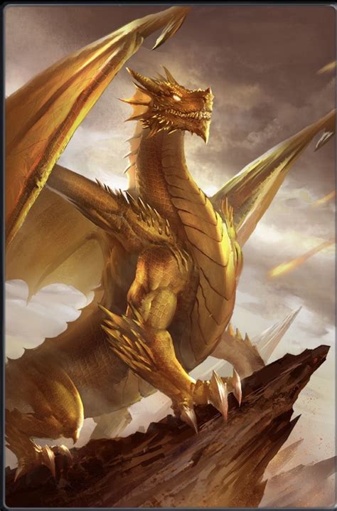 Is the gold dragon rare?