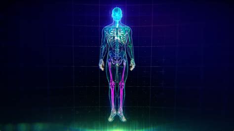 Is the human body considered science?