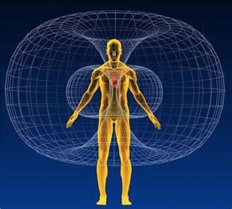 Is the human body electric or magnetic?