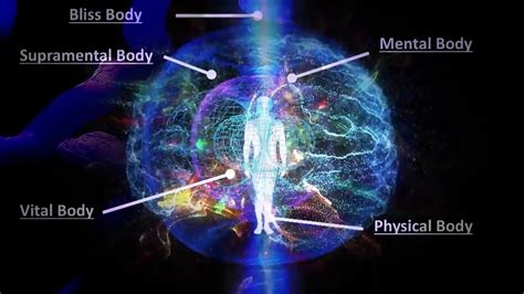 Is the human body quantum?