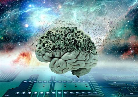 Is the human brain Immortal?
