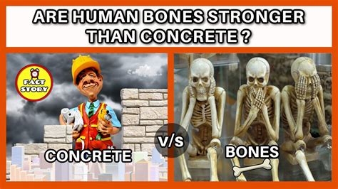 Is the human skull stronger than concrete?