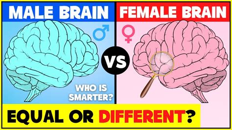 Is the male or female brain smarter?