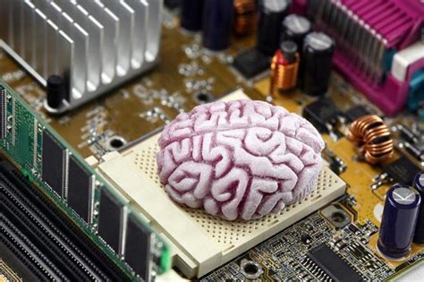Is the motherboard or CPU the brain?