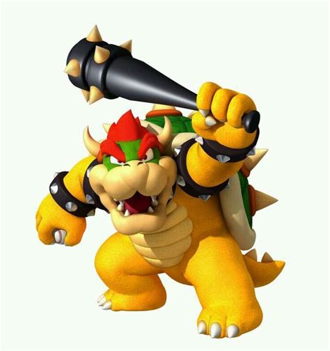 Is there a Lady Bowser?