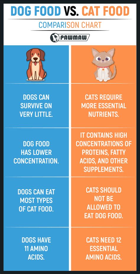 Is there a big difference between dog food and cat food?