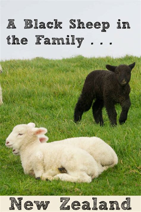 Is there a black sheep in your family?