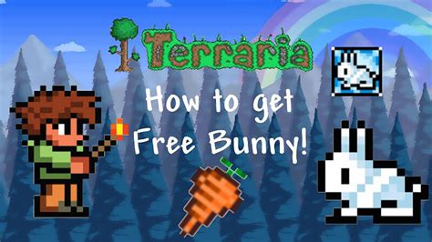 Is there a bunny pet in Terraria?