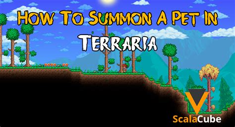 Is there a cat summon in Terraria?