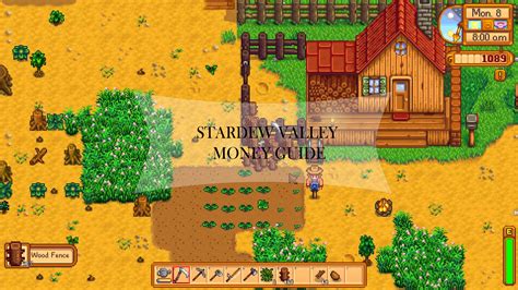 Is there a cheat to get more money in Stardew Valley?