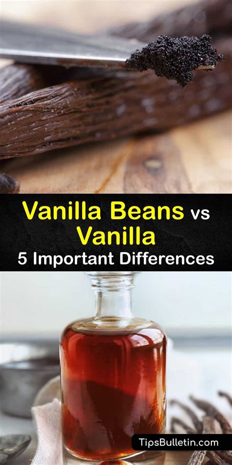 Is there a difference between vanilla extract and Madagascar vanilla extract?