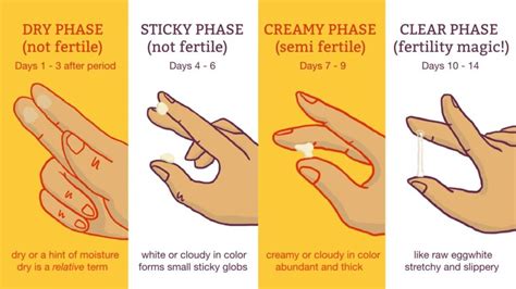 Is there a finger test for fertility?