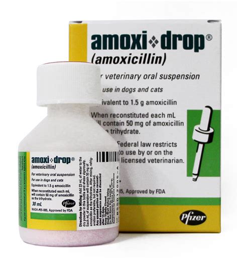 Is there a liquid form of amoxicillin for dogs?