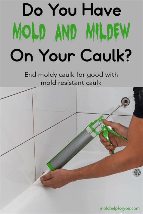 Is there a mold resistant?