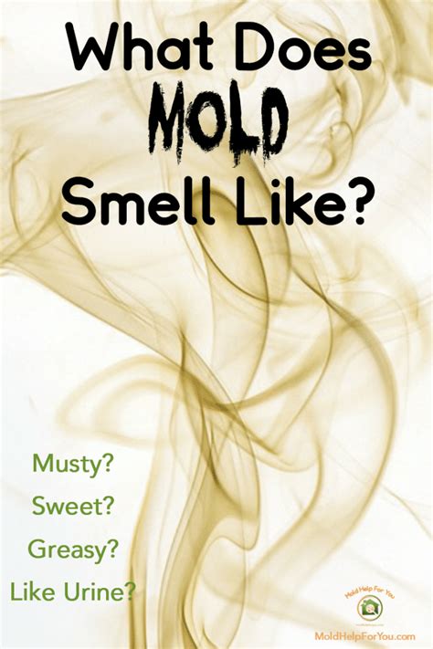 Is there a mold that smells like ammonia?