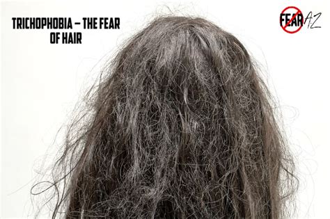 Is there a phobia of hair?