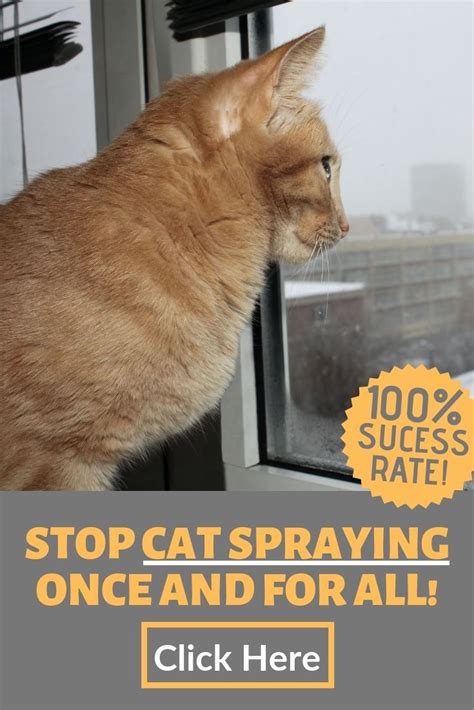 Is there a product to stop cats from spraying?