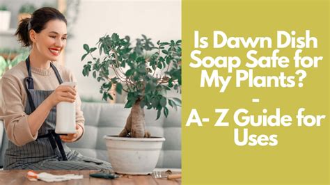 Is there a soap that is safe for plants?