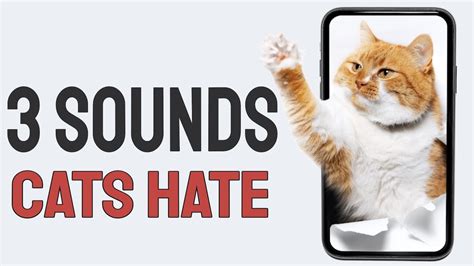 Is there a sound that cats hate?