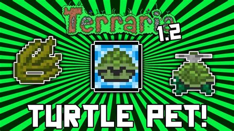 Is there a turtle pet in Terraria?