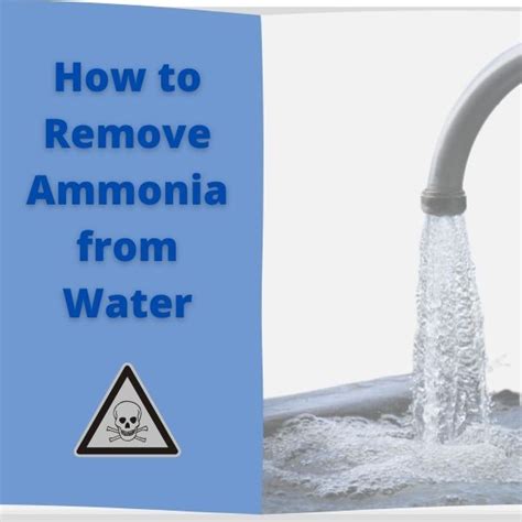 Is there ammonia in tap water?