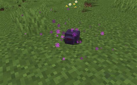 Is there an NPC that sells Ender Pearls?