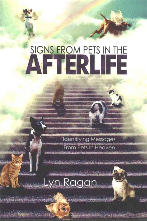 Is there an afterlife for pets?