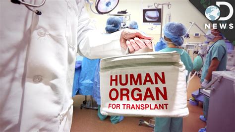 Is there an organ that Cannot be transplanted?