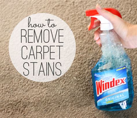 Is there carpet that doesn't stain?