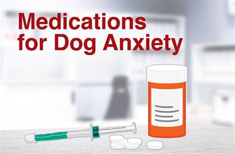 Is there medication for dogs with severe anxiety?