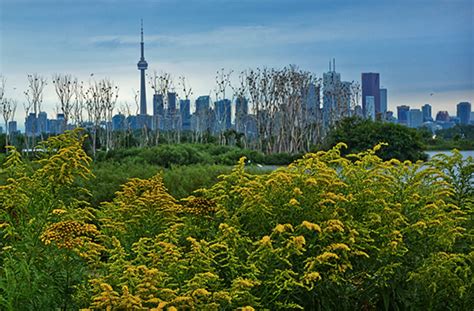 Is there nature in Toronto?