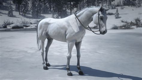 Is there only 1 white Arabian horse in rdr2?